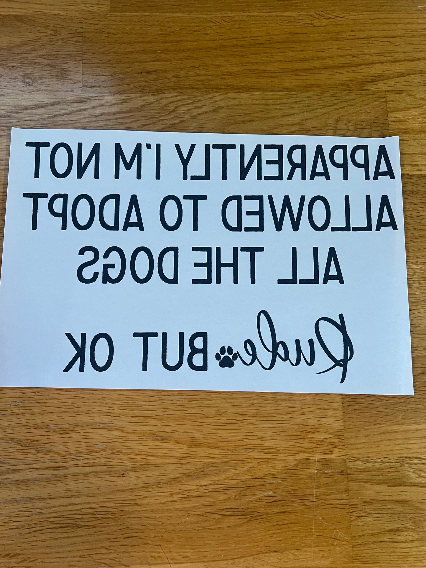 Apparently I’m not allowed to adopt all the dogs