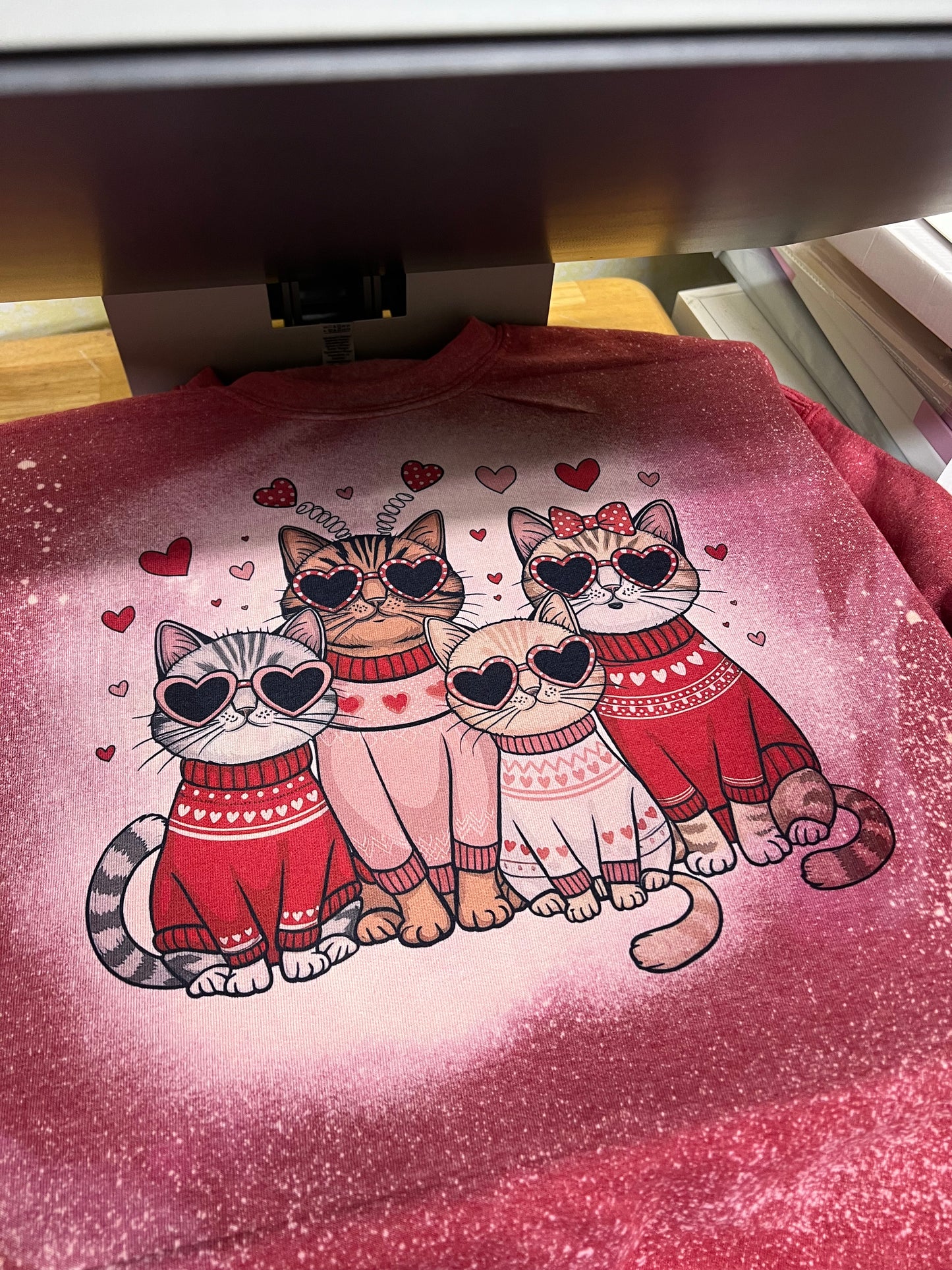 Valentine cats