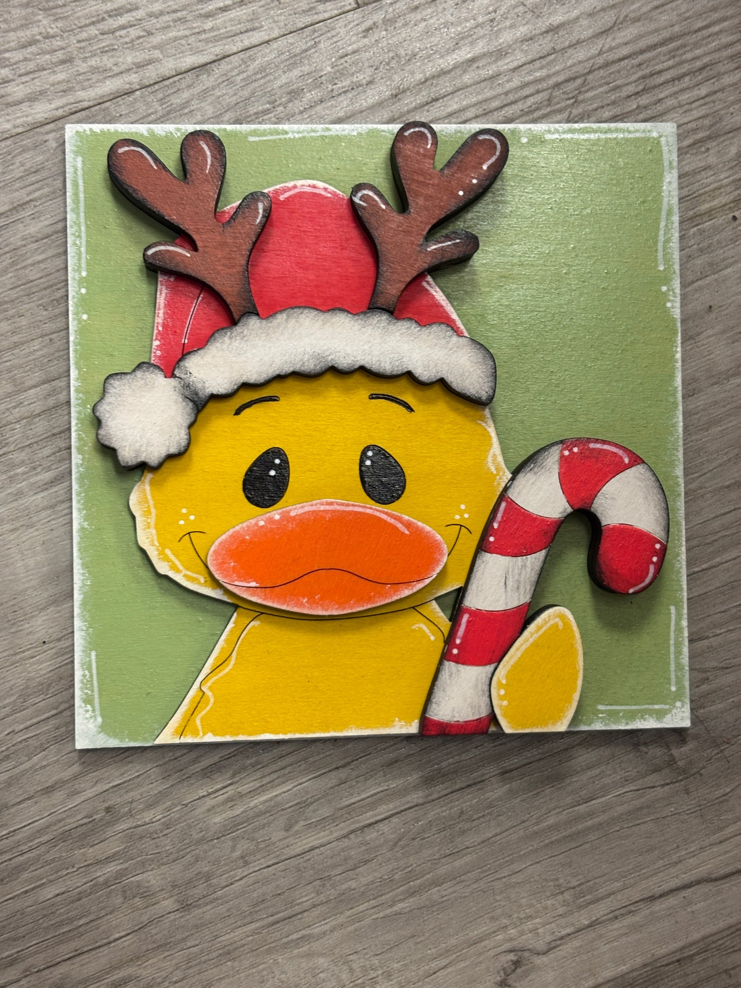 Duck Christmas interchangeable square inserts