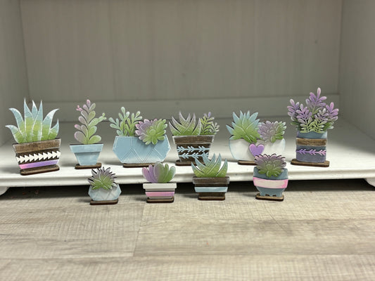 Mini standing succulents