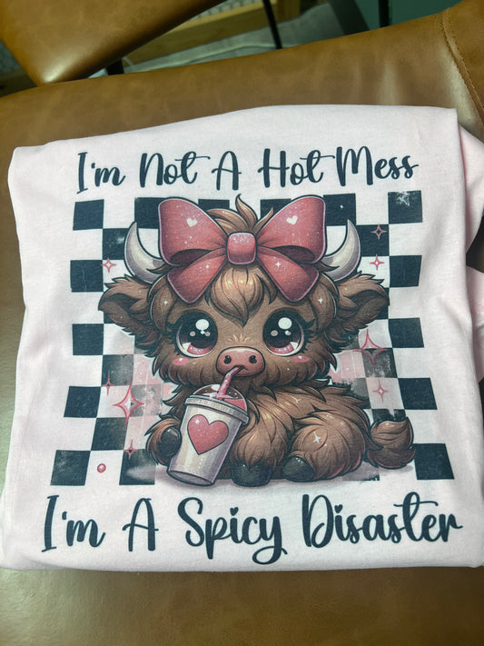 I’m not a hot mess …