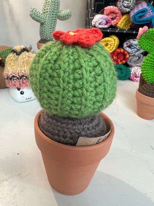 Cactus