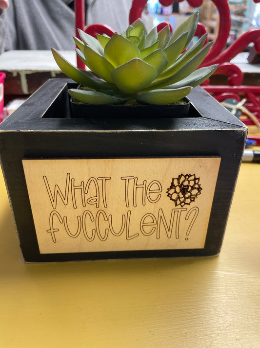 Succulent box